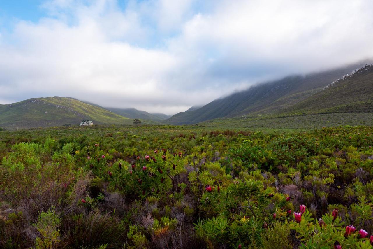 Honeyrock Cottages Kleinmond Zewnętrze zdjęcie